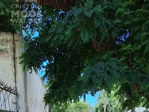 Garín