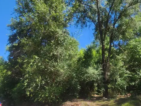 Terreno en Venta 20  mts Fondo