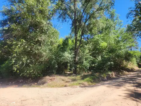 Terreno en Venta 12  mts Frente