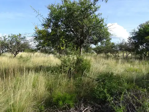 Terreno en Venta, FOT 40