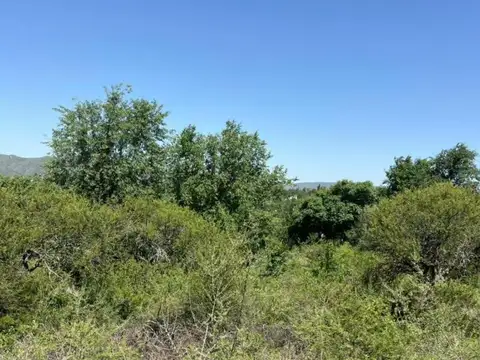 Lote en Villa Parque Siquiman