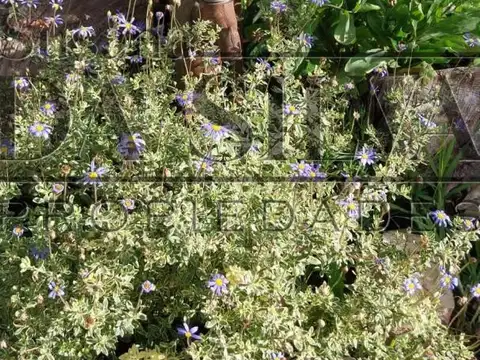 Casa en Venta en Marcos Paz, USD 220.000