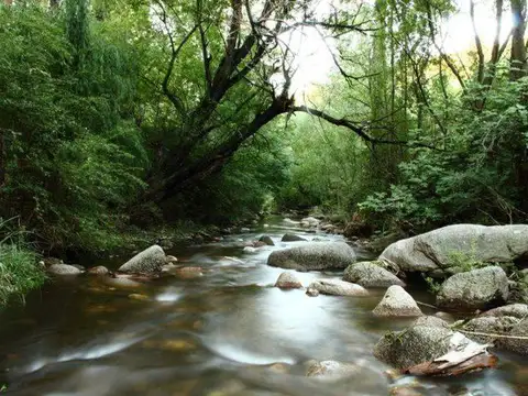 LOTES EN CORTADERAS A 100M. DE ARROYO BENITEZ