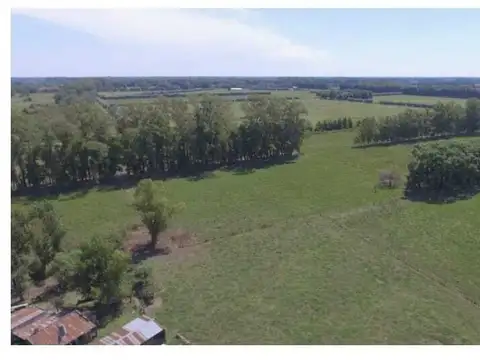 Campo en Venta con Alambrado