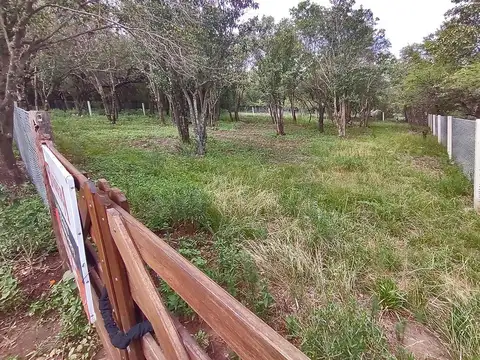 J Orozco Esq Leandro Morán 100