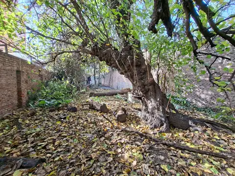 Terreno en Venta de 440,0 m2