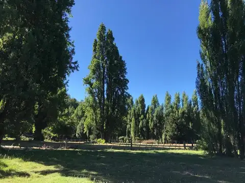 Terreno en Venta de 12160,0 m2