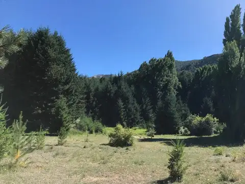 UNICA FRACCION APTA INVERSION O FRACCIONAMIENTO EN VILLA LA ANGOSTURA