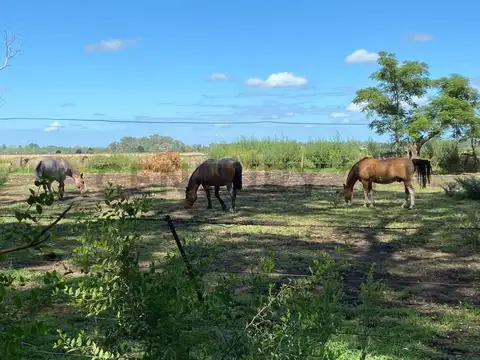 Campo en Venta de 0,02  ha