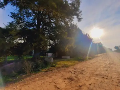 OPORTUNIDAD! 9 HAS CON MEJORAS