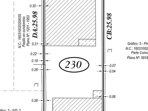 Pasco al 3300