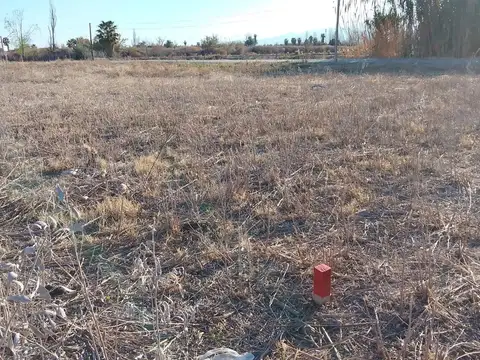 Terreno en Venta en Rodeo De La Cruz, $ 8.000.000