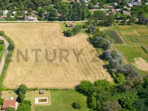 Hectáreas en venta en Arturo Seguí