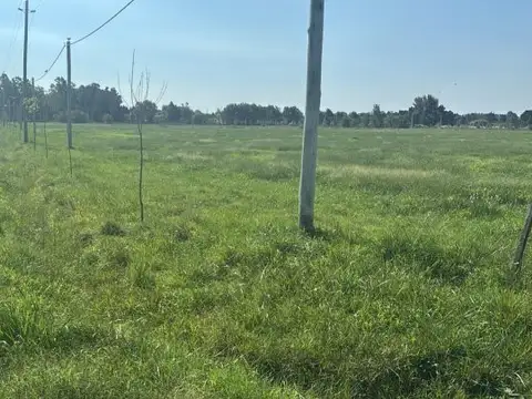 Terreno en Venta 60  mts Fondo