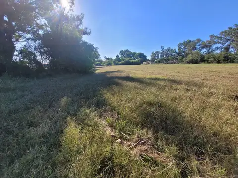 SE VENDE TERRENO EN SAUCE VIEJO-OPORT. PARA LOTEO