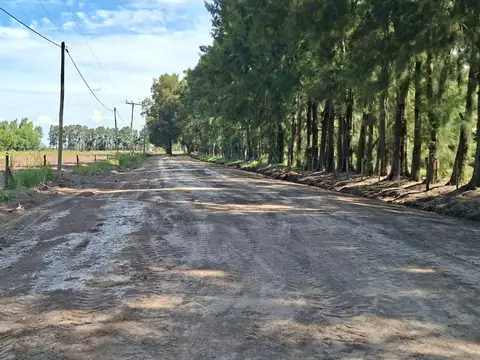 Terreno en Venta 46  mts Fondo