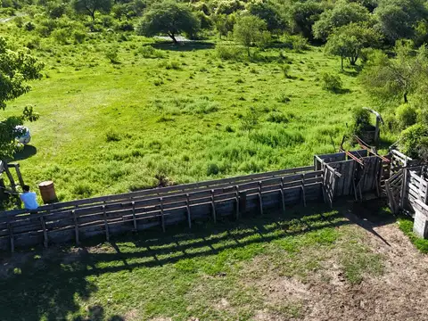 1150 has Camino rural Pueblo Libertador