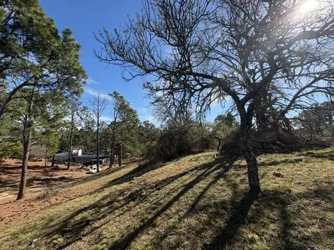 Valle Sereno 100