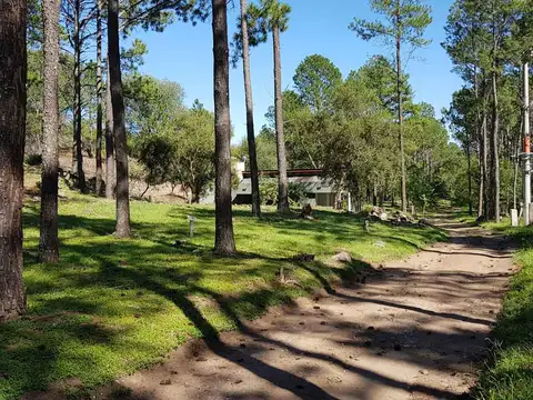 Valle Sereno 100