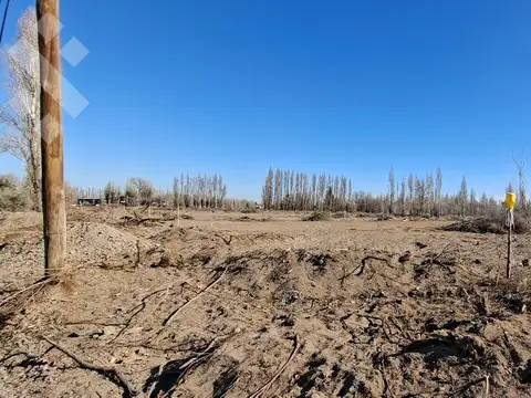 Obrero Argentino & Ricchieri