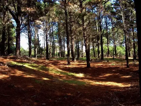 Terreno en Venta, FOS 0,6