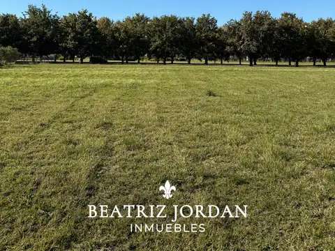 CHACRA EN VENTA, BARRIO CERRADO LA MACARENA, CAPILLA DEL SEÑOR