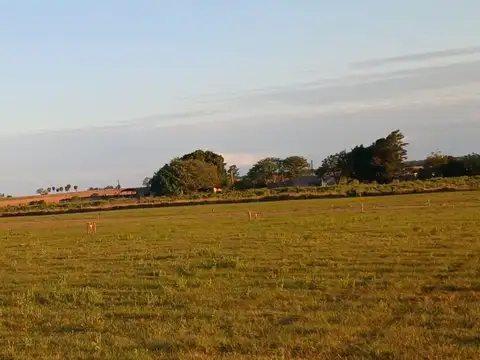 LOTES EN VENTA SOBRE RUTA 12 GOYA CTES