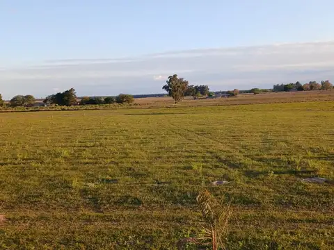 Terreno en Venta de 1000,0 m2