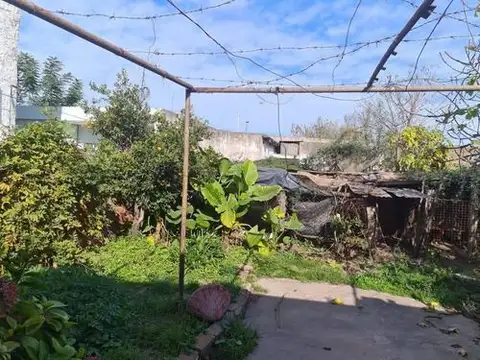 Presbistero Daniel Segundo 1600