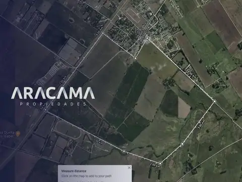 Campo sobre Ruta 193 (km 10) - Zarate