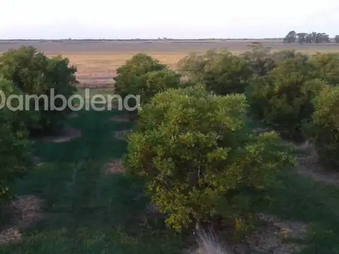 Terreno  en Venta o permuta ubicado en Punta Indio, Resto de la Provincia