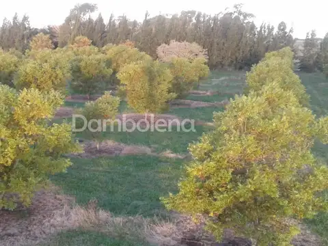 Ruta provincial 11 100