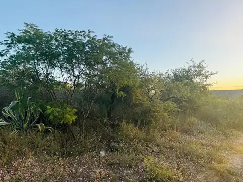 Terreno en Venta de 584,0 m2