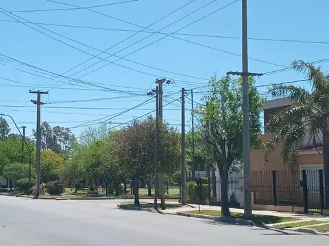 Avenida C. Gimenez (ex Av.1) 100