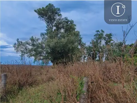 Campo en  San Vicente