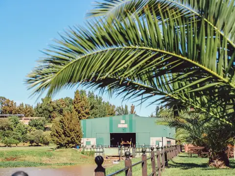 Terreno en Venta 40  mts Fondo