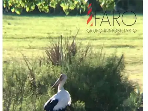 PROPIEDADES RURALES - CHACRA - PUNTA BALLENA