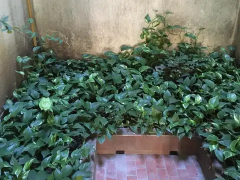 Depto Tipo Casa en Venta 50 años