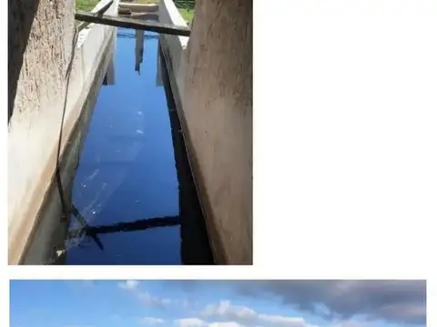 Corrientes: Inversión en 4892 ha Ganaderas a U$D 2.000/ha. C