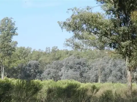 Paso De Los Libres