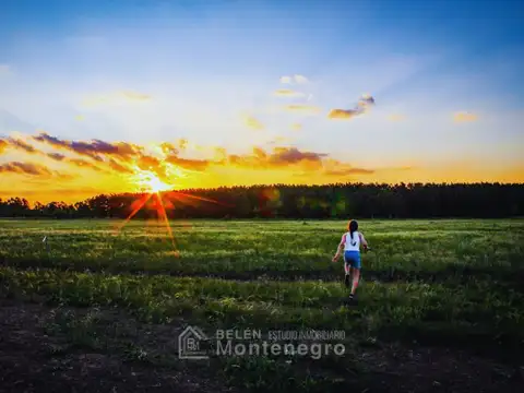 Terreno en Venta en Marcos Paz, USD 13.999