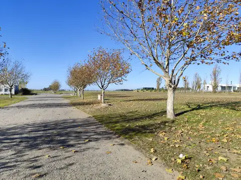 Terreno en Venta 51  mts Fondo