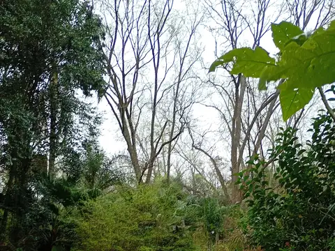 RIO   SARMIENTO  Y ESPERA
