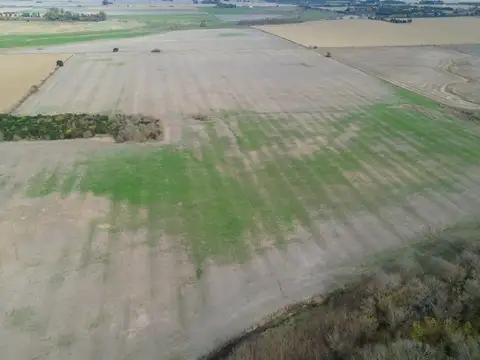Baradero