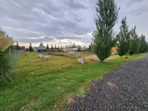 Terreno en Venta 10  mts Frente