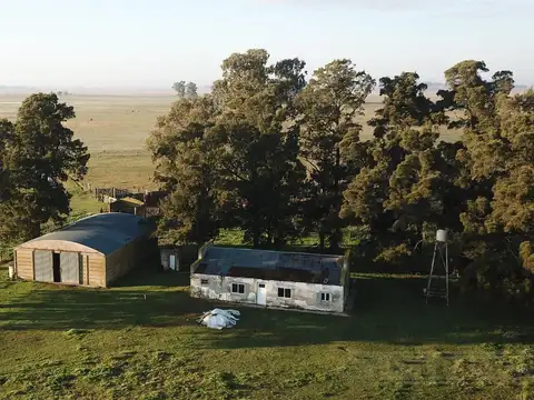 300 ha ganaderas, Labardén, Pdo. Gral. Guido, Bs. As.