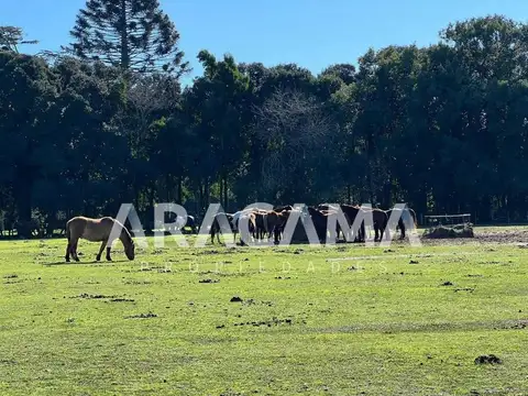 Terreno en Venta de 28000,0 m2