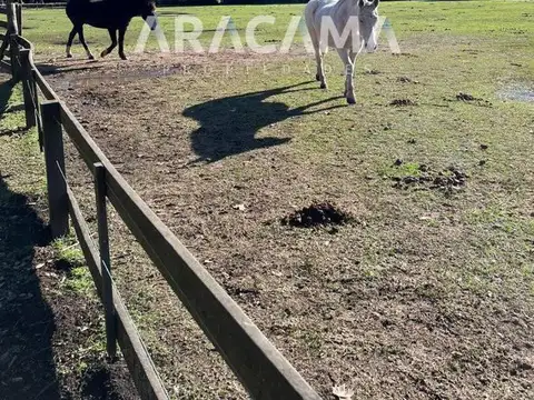 Terreno en Venta en Estancia Benquerencia Farm Club, USD 68.000