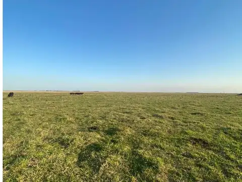 Campo en Venta de 10,70  ha