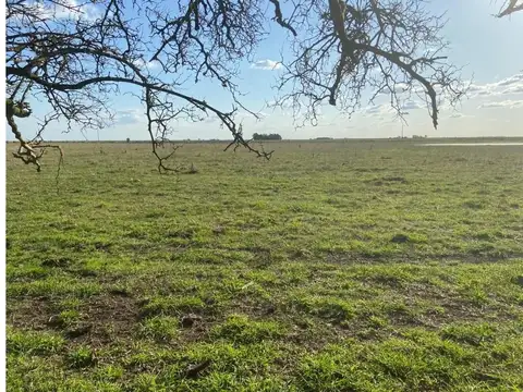 Madariaga. Campo 108 ha. Escuchamos Propuestas